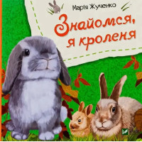 Meet Me, I’m a Bunny