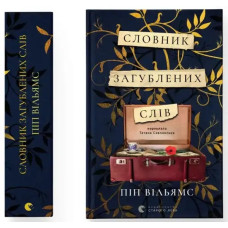 The Dictionary of Lost Words